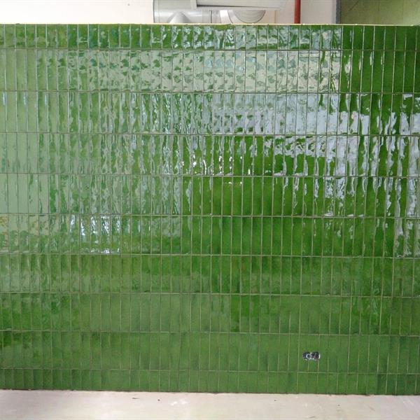 Ruimte met 25x10 groene wandtegels | RMB Tegels & Sanitair